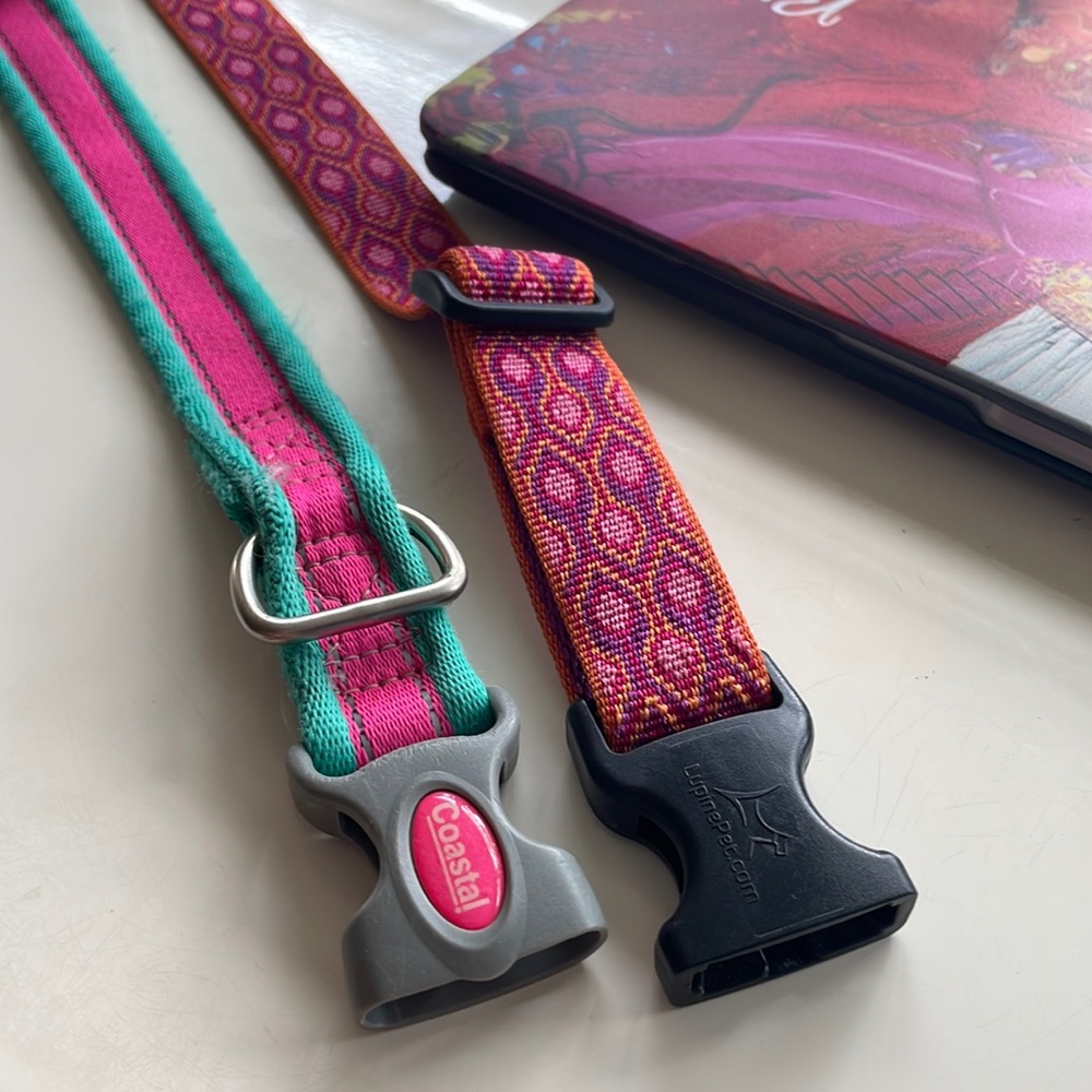 Coastal and LupinePet.com collars